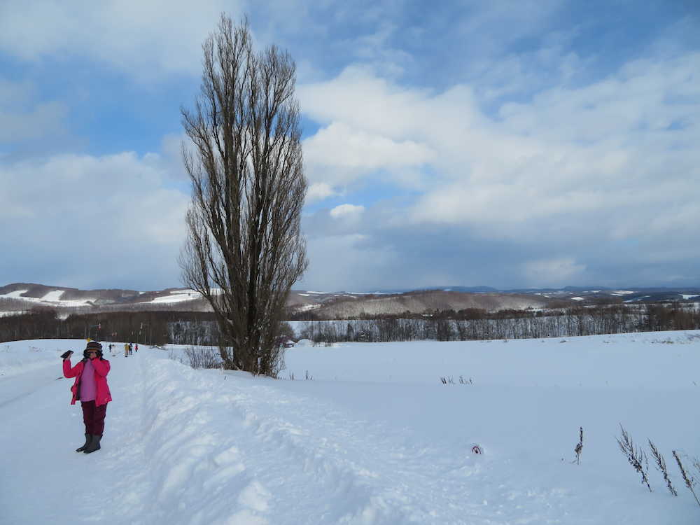 大雪原の中に立つ「ケンとメリーの木」