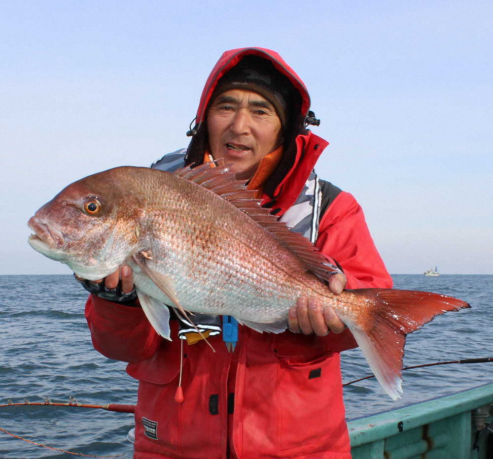 【画像・写真】優しく誘って大型マダイ　上越沖は“プレ乗っ込み”当たれば本命