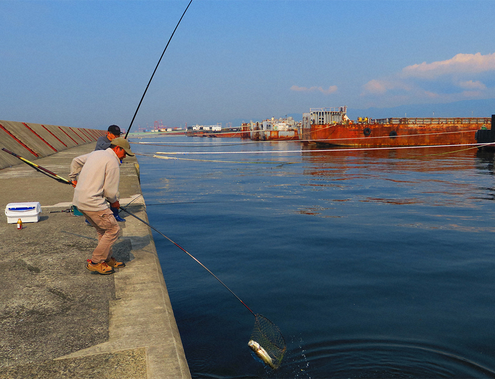武庫川一文字での早朝のハネ釣り風景