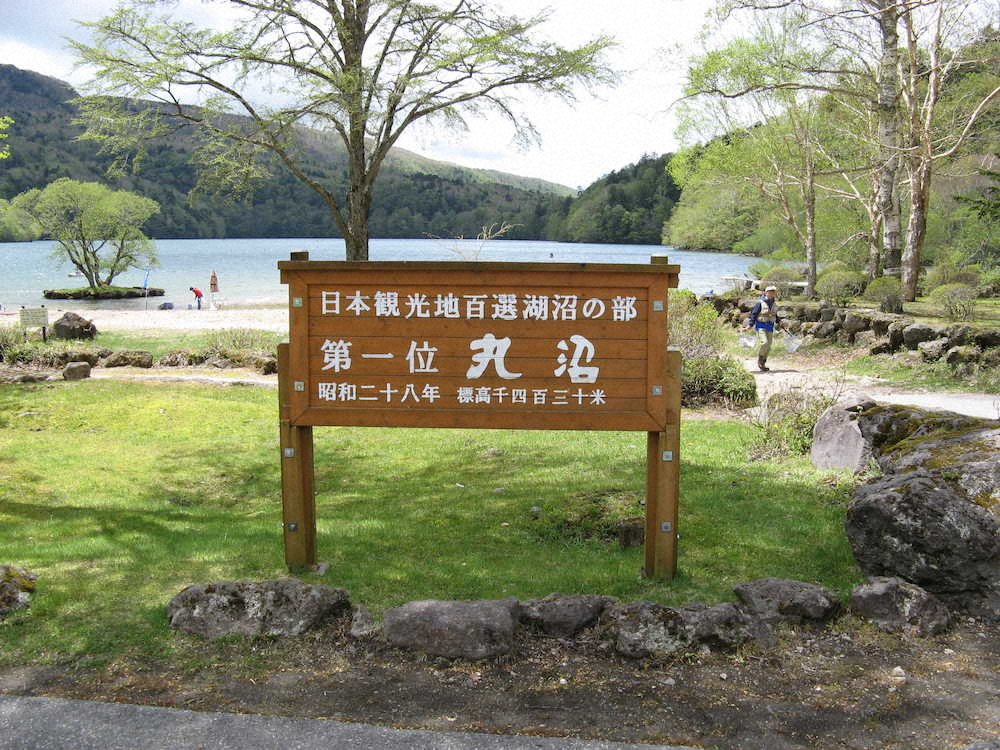1953年（昭28）、日本の観光地百選湖沼の部で1位を獲得したこともある丸沼。写真のような新緑の季節はこれから