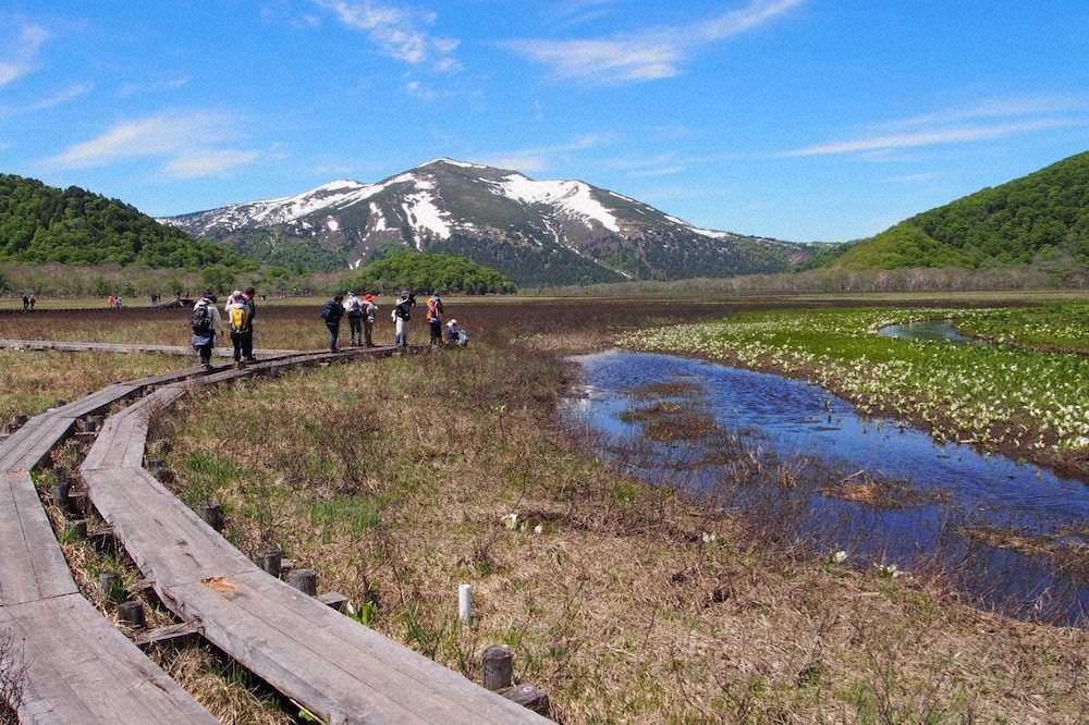 【画像・写真】尾瀬でかかる美しいイジ　激闘の末良型47センチゲット!!