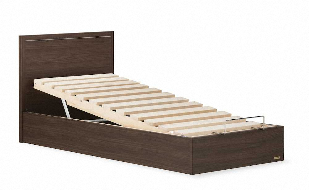 体全体を傾けられるベッド　フランスベッド「チルト機能付き電動ベッドフレーム　GR―01F　KN―R」
