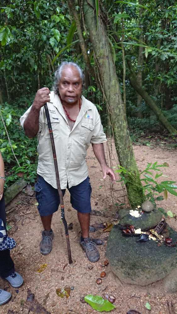 【画像・写真】【オーストラリア・ケアンズ】気分は人魚!!珊瑚礁の楽園で海中散歩　熱帯魚、ウミガメと大接近