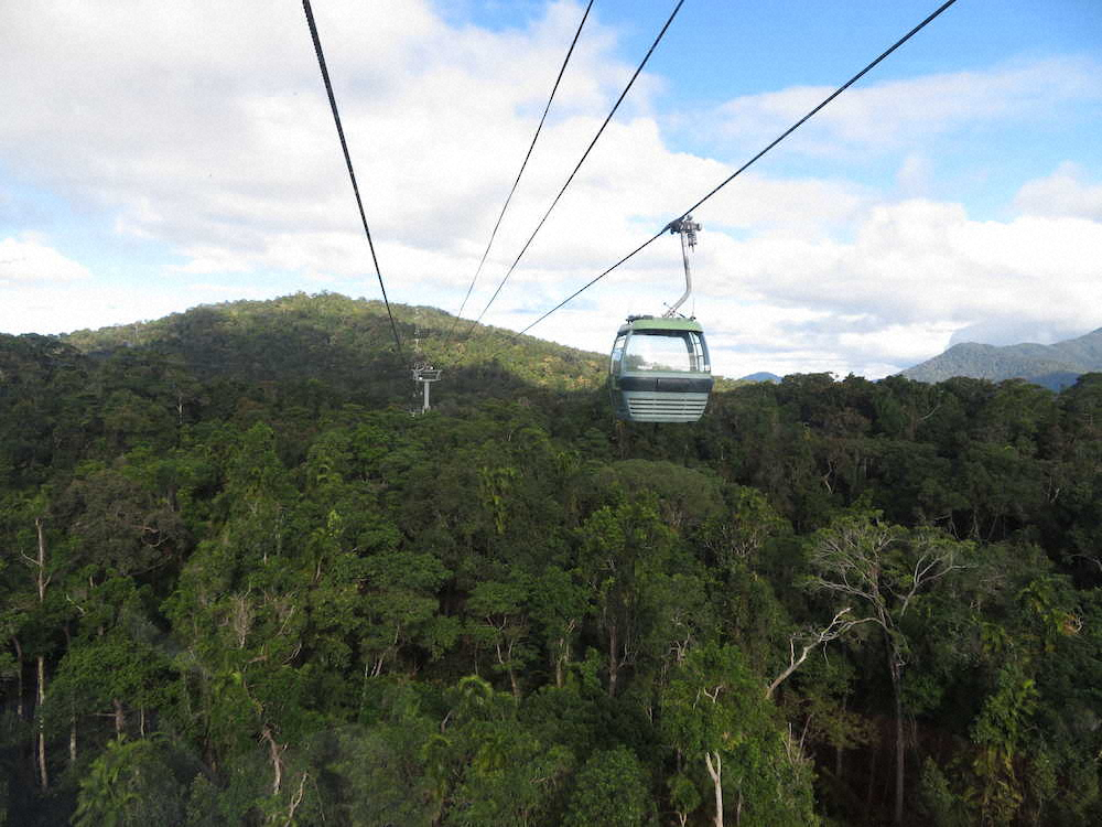 熱帯雨林の上を運行する「スカイレール」。空からの眺めはまた格別だ