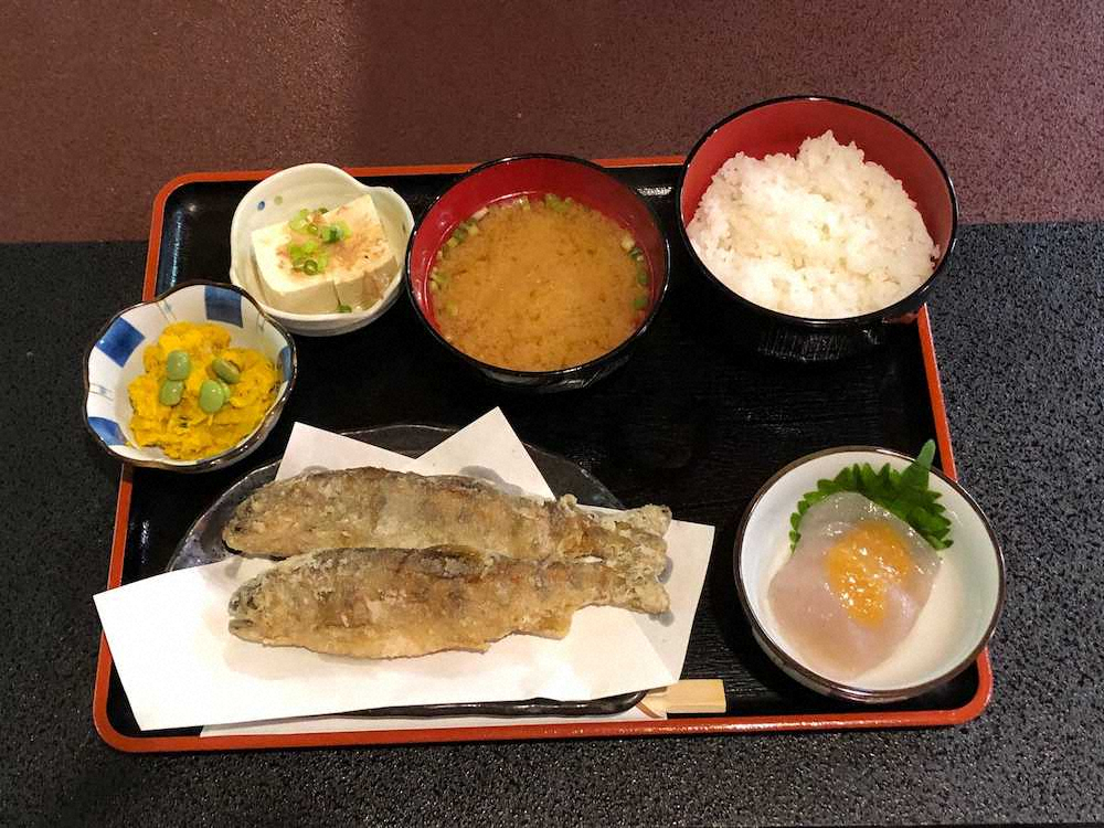 【画像・写真】水底から湧いてくるイワナ　魚影の濃さ日本一