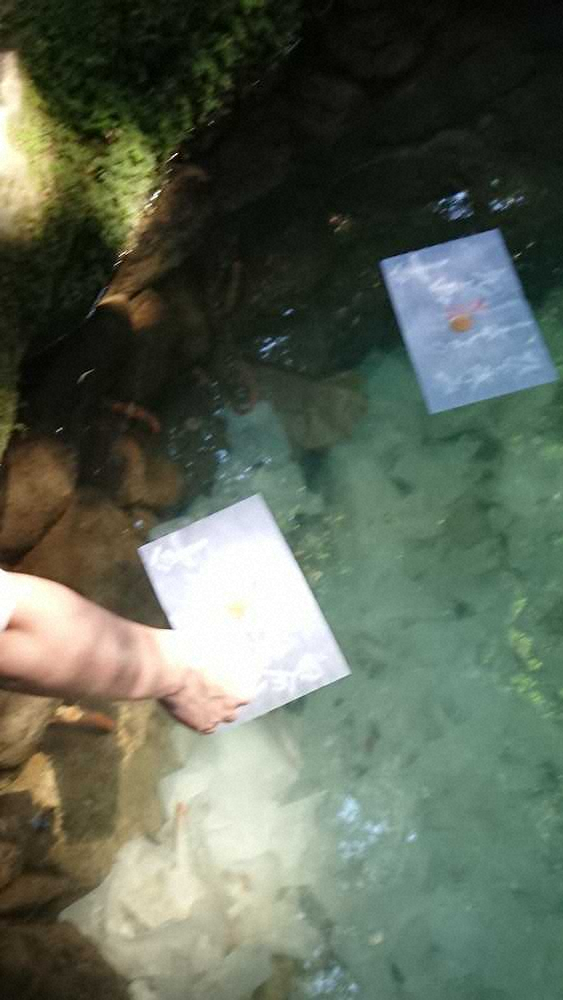八重垣神社の鏡の池では和紙に硬貨を乗せて縁占いが楽しめる