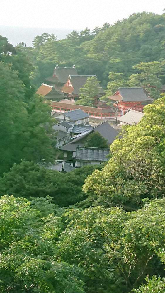 日沈宮、神の宮からなる日御碕神社。高台からみる景観は美しい