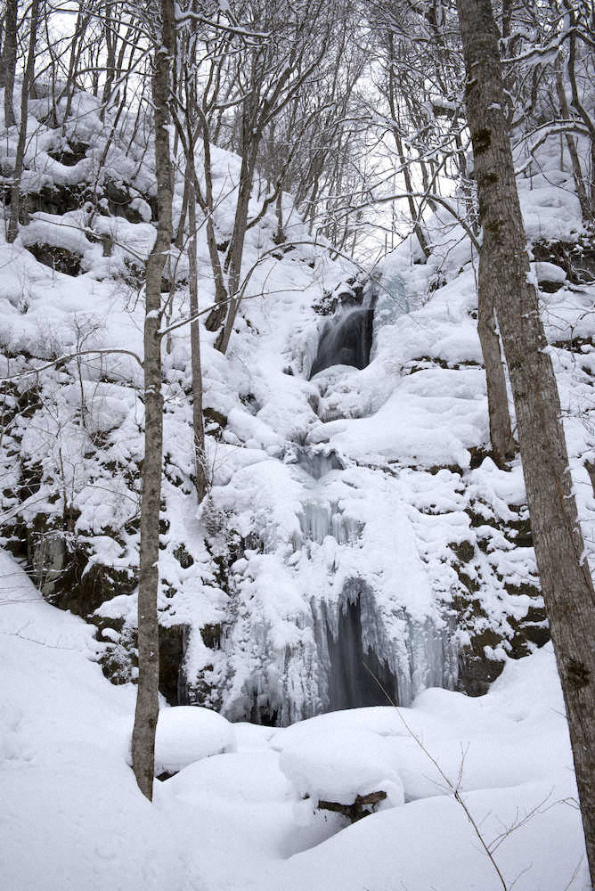 奥入瀬渓流で凍った姿を見せる雲井の滝。三段に流れ落ちる瀑布のフォルムが独特だ（JR東日本提供）