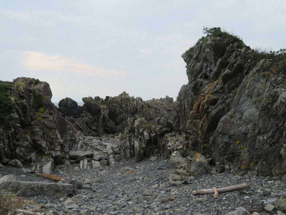 室戸岬で迫力の姿を見せるダービタイト層。海底が隆起してできたという