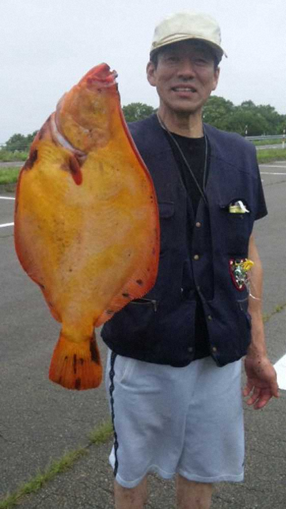 広尾海岸での54・センチはオレンジ色の美しい魚体だった（15年8月）