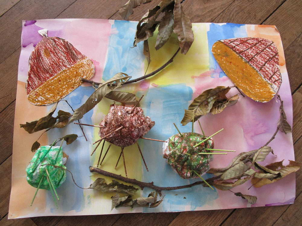 【画像・写真】【第１１回】深日小流　地域の自然を生かした食育授業