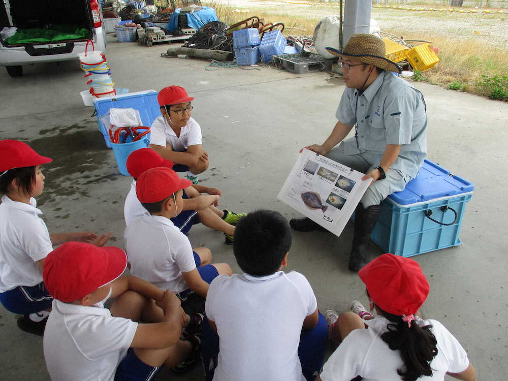 【画像・写真】【第１３回】ひらめの稚魚放流もできちゃいます