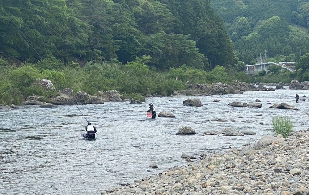 和歌山のアユ釣りのメッカ、有田川の白石の瀬での釣り風景