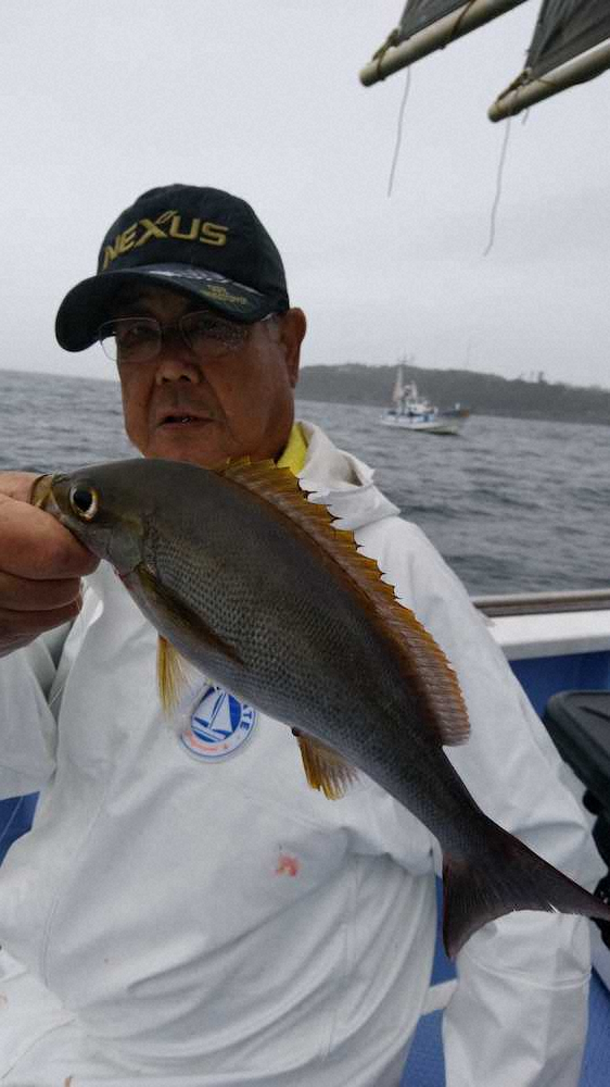 【画像・写真】イサキ誇る39匹　2カ月ぶりでも勘鈍らず