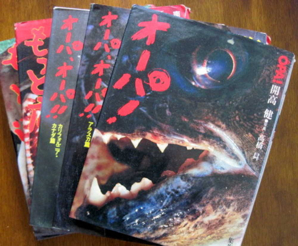 【画像・写真】紙の海から釣りを読む