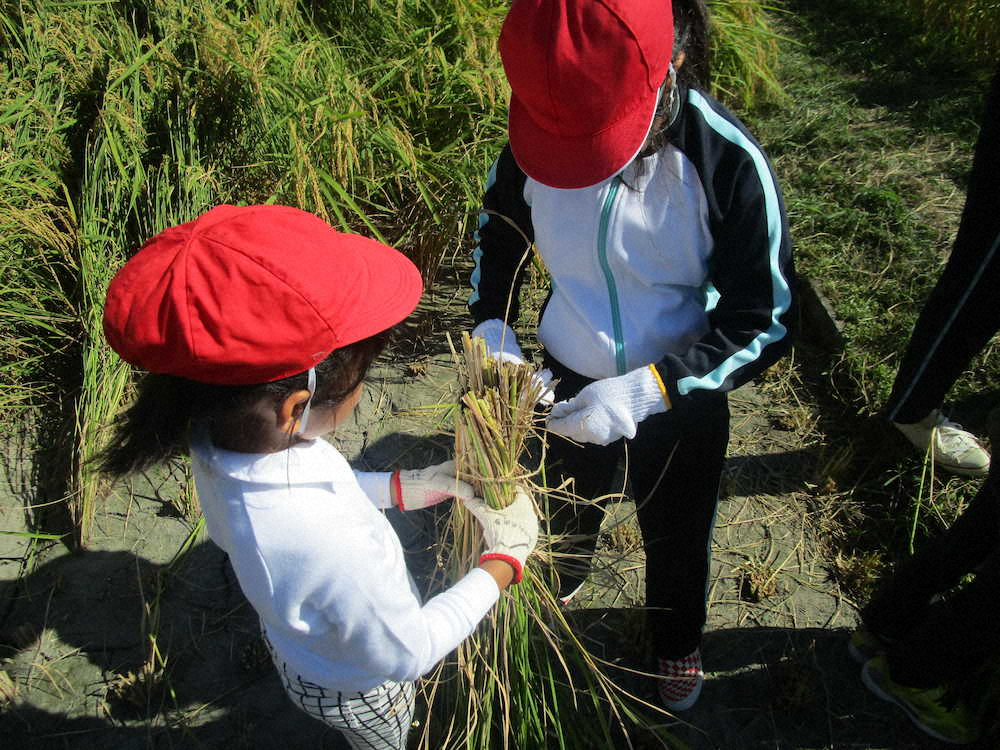 【画像・写真】【第１６回】食の安全を地域の人と考える②