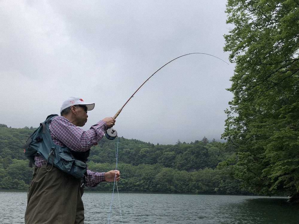 【画像・写真】セミフライで50センチレインボートラウト