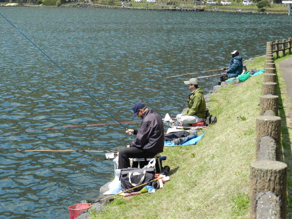 【画像・写真】狙え腹パン「タヌキベラ」
