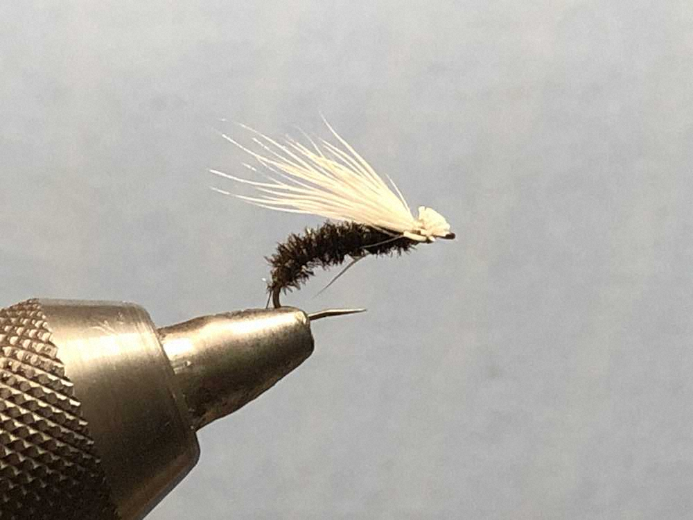 【画像・写真】レインボーも　ブラウンも濃い！来い！