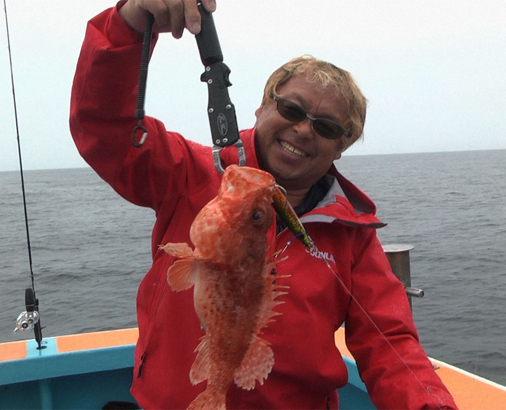 【画像・写真】巨大アコウだ！ヒラメだ！オニオコゼだ！