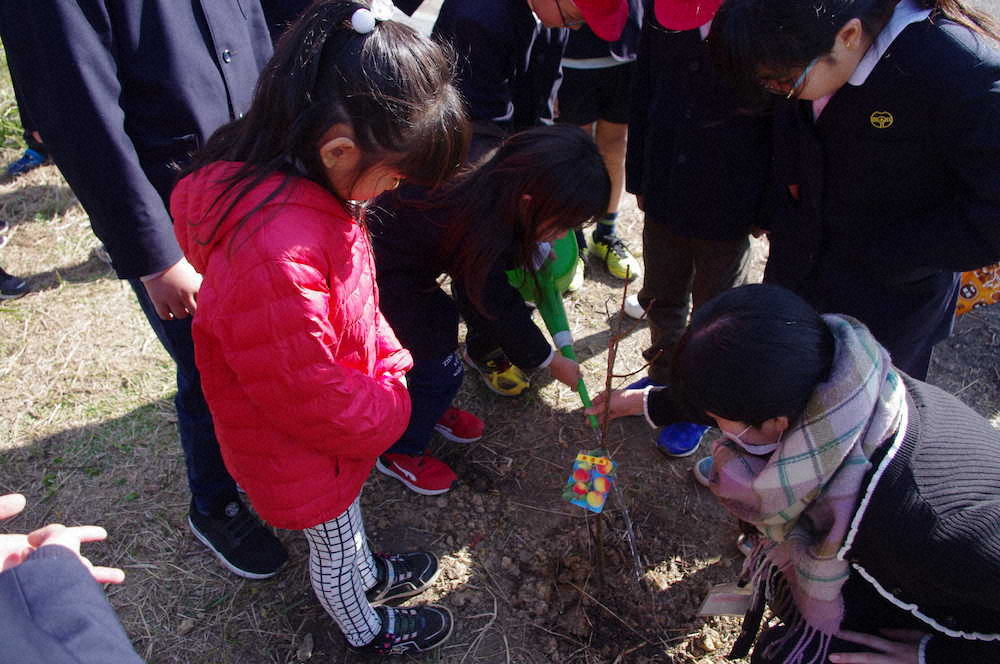 【画像・写真】【第２９回】深日小や子どもたちへの思い（梅プロジェクトの河野さんご夫妻へのインタビュー）