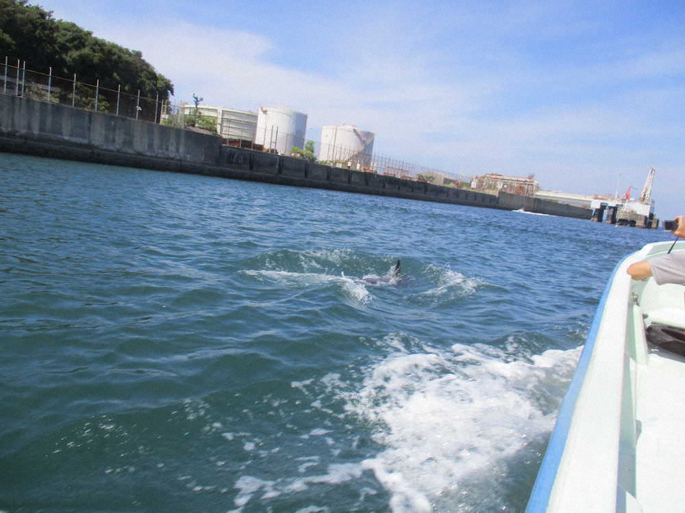 【画像・写真】【第３２回】漁師町活性化プロジェクト始動