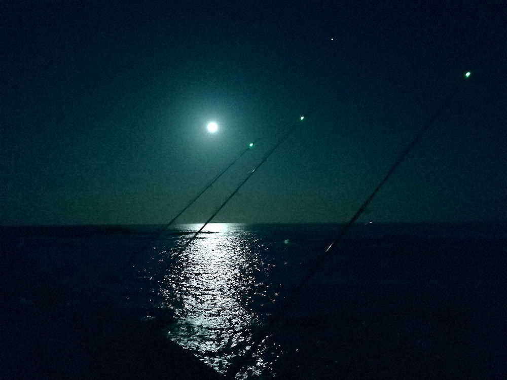「ブルームーン」の明かりで釣りを楽しんだ