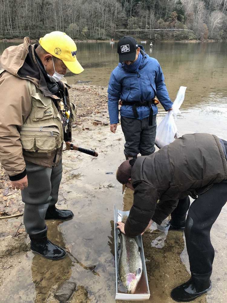 【画像・写真】カメムシが懸け橋　ニジマス43センチ