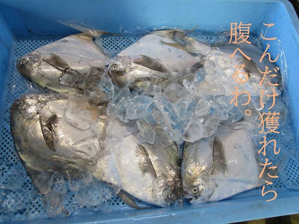 【画像・写真】【第４４回】我は海の子