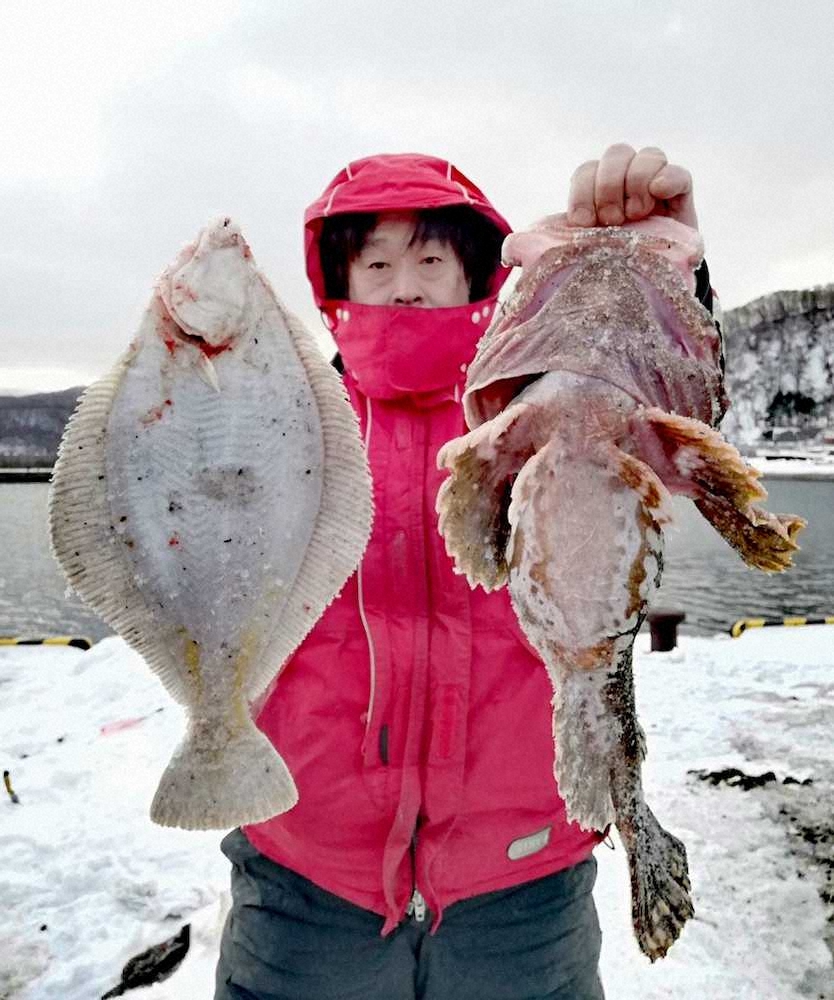 テンションmax 華麗5種カレイ祭り 軽臼漁港 スポニチ Sponichi Annex 社会