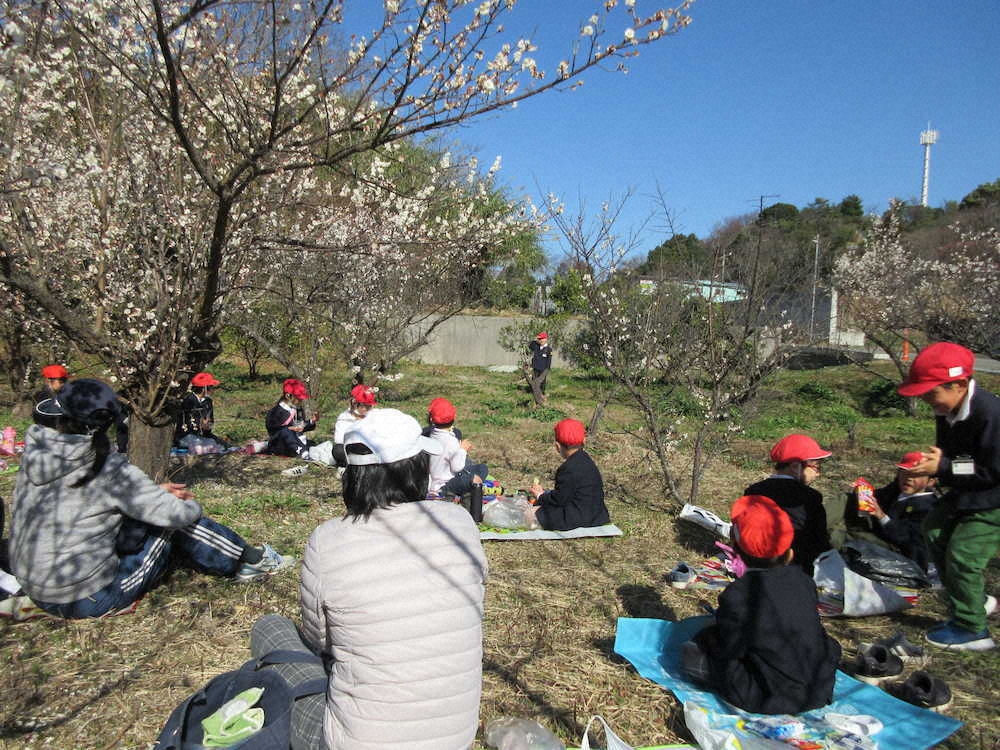 【画像・写真】【第５６回】一足お先に！1年生のお花見会
