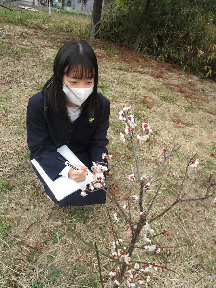 【画像・写真】【第５７回】三寒四温