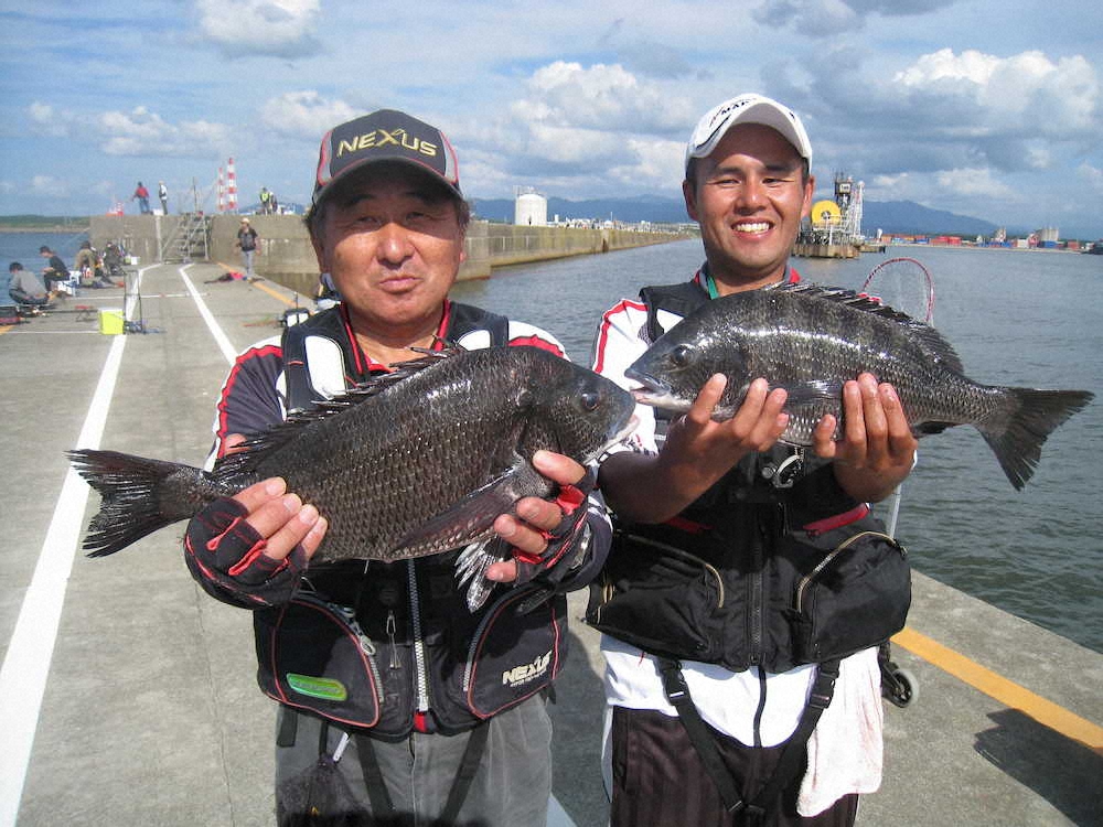 待ったなし 年無しクロダイ 秋田県 秋田港北防波堤 スポニチ Sponichi Annex 社会