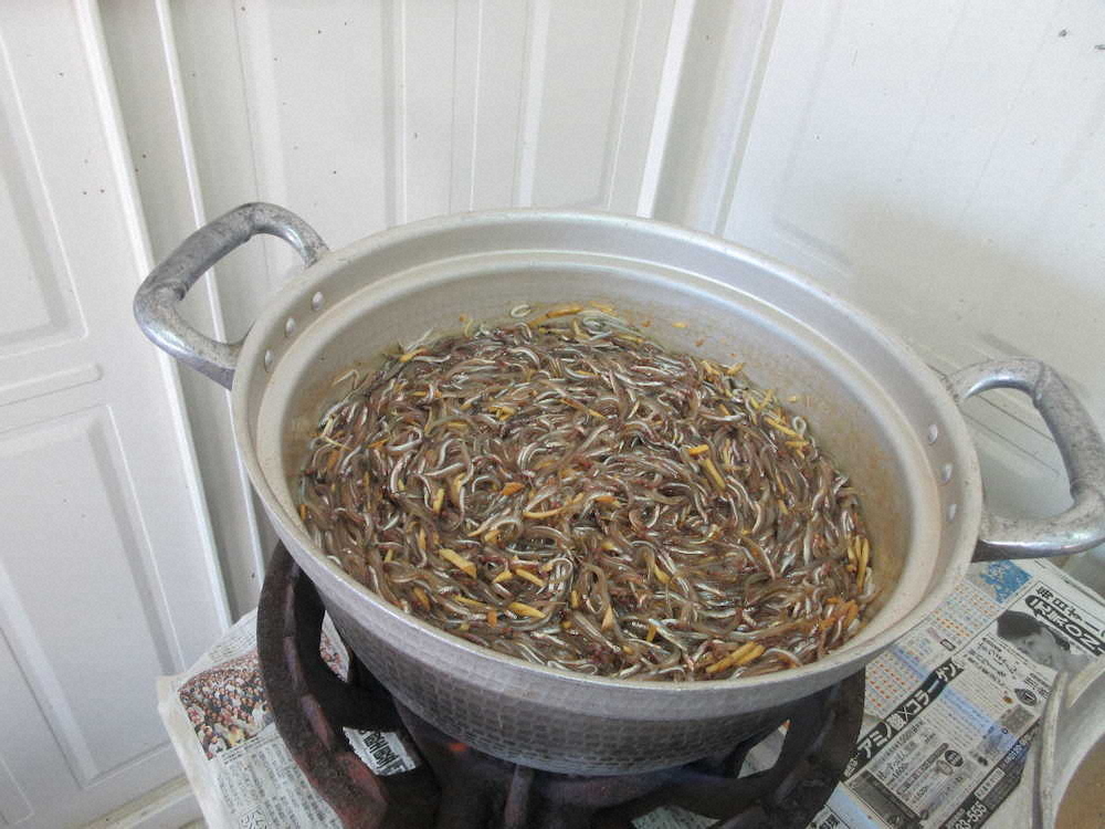 【画像・写真】【第６０回】春の訪れ