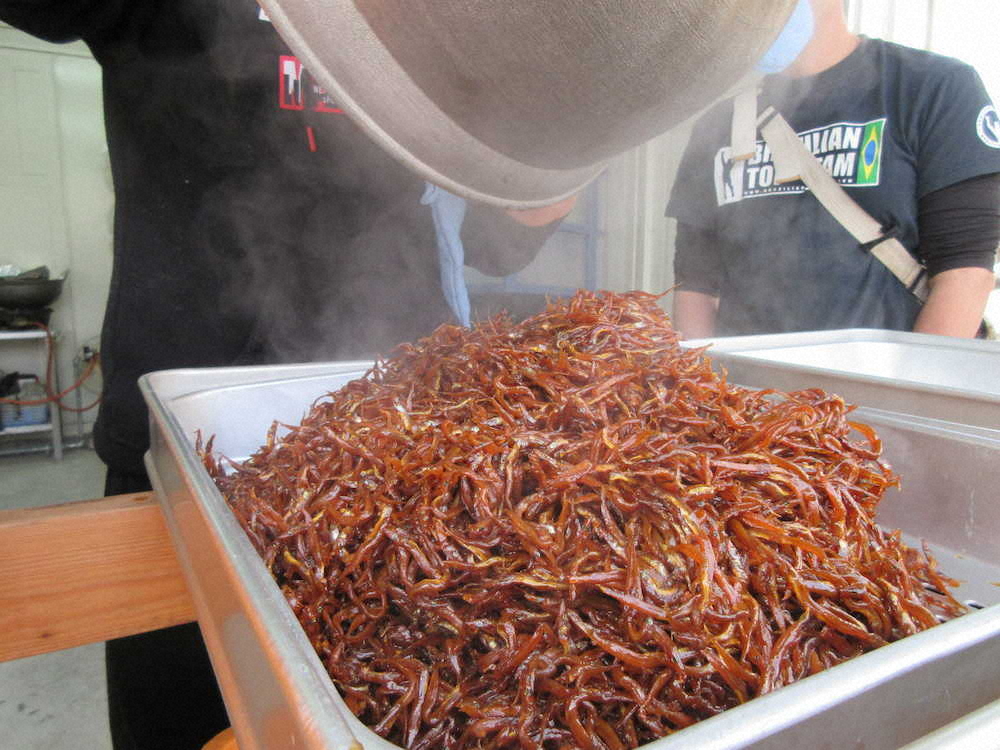 【画像・写真】【第６０回】春の訪れ