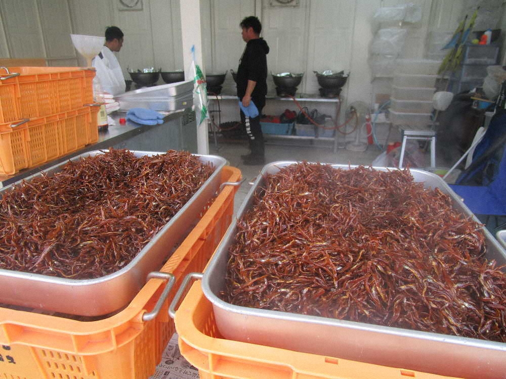 【画像・写真】【第６０回】春の訪れ