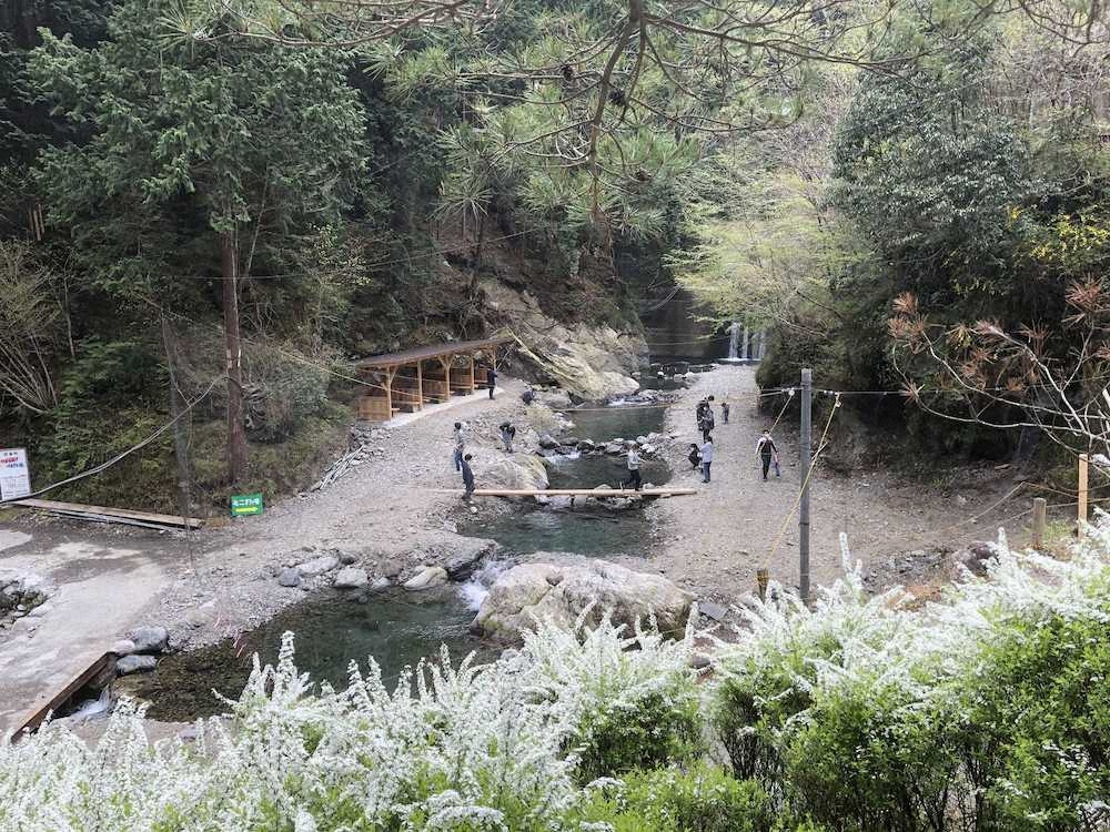 【画像・写真】難関クリア！！　24センチヤマメ