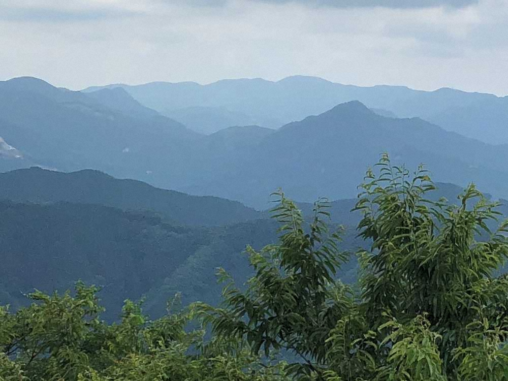 【画像・写真】難関クリア！！　24センチヤマメ