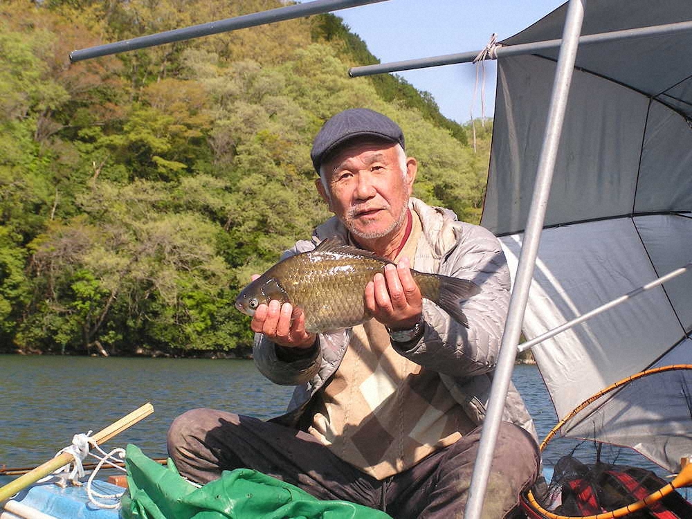 【画像・写真】神奈川・相模湖で乗っ込み始まり巨ベラ師出番だ　尺半級お出まし　ゴーマルも好機