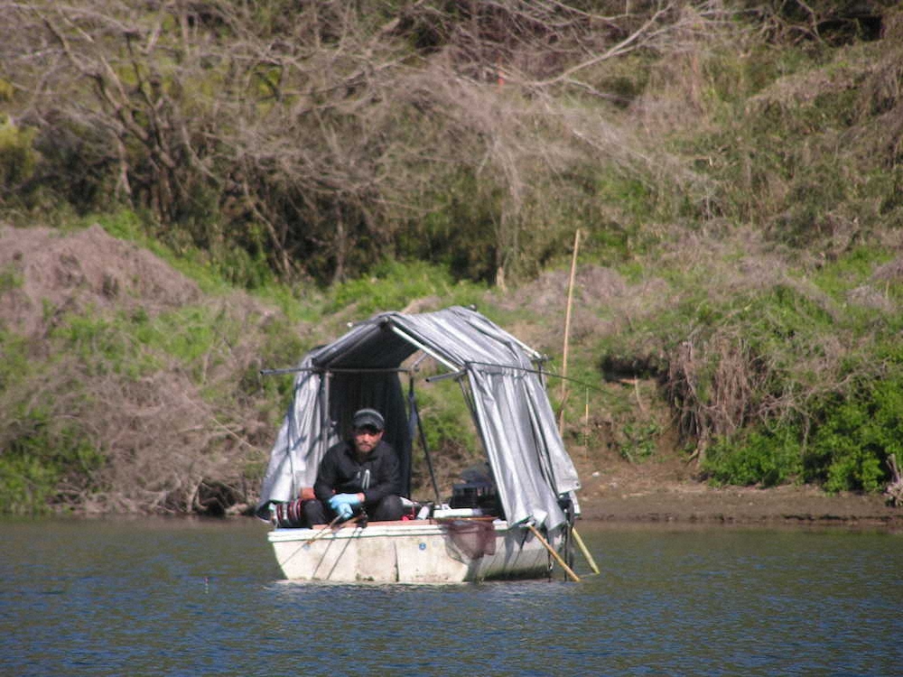 【画像・写真】神奈川・相模湖で乗っ込み始まり巨ベラ師出番だ　尺半級お出まし　ゴーマルも好機