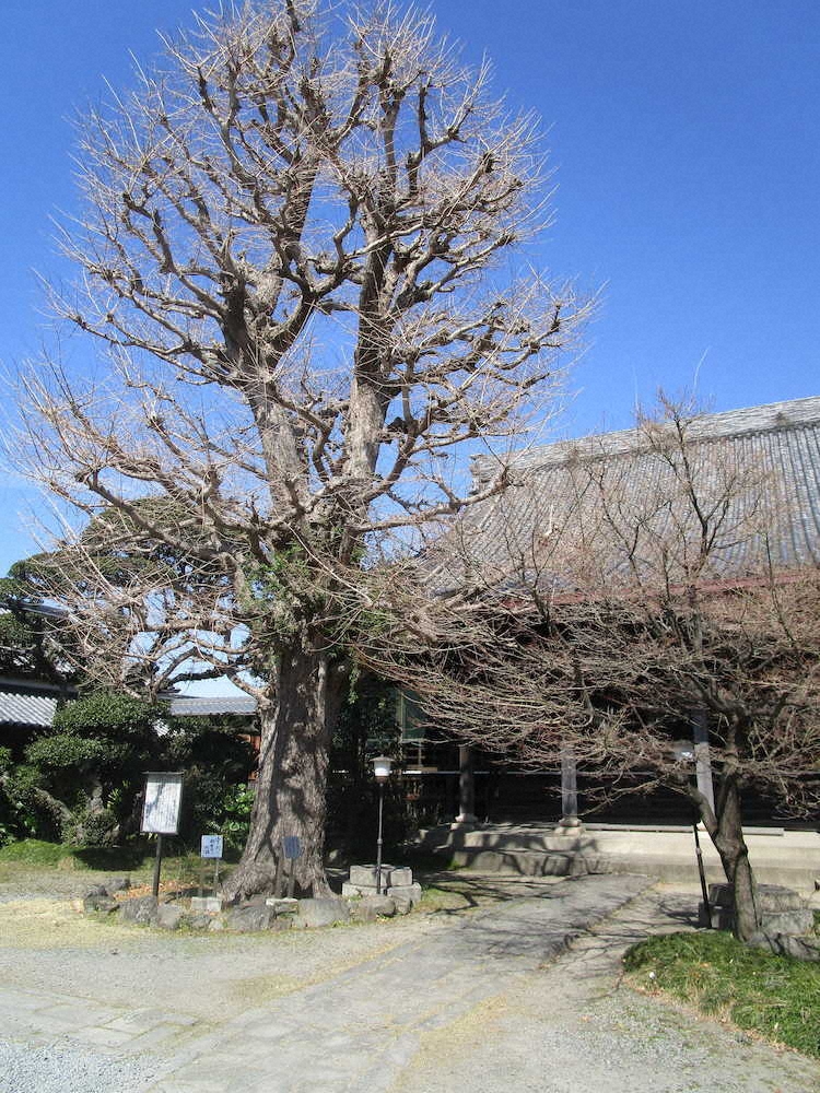 【画像・写真】【第６４回】忘れがたき　ふるさと