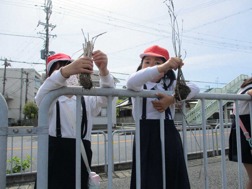 【画像・写真】【第６５回】地図記号を覚えよう！