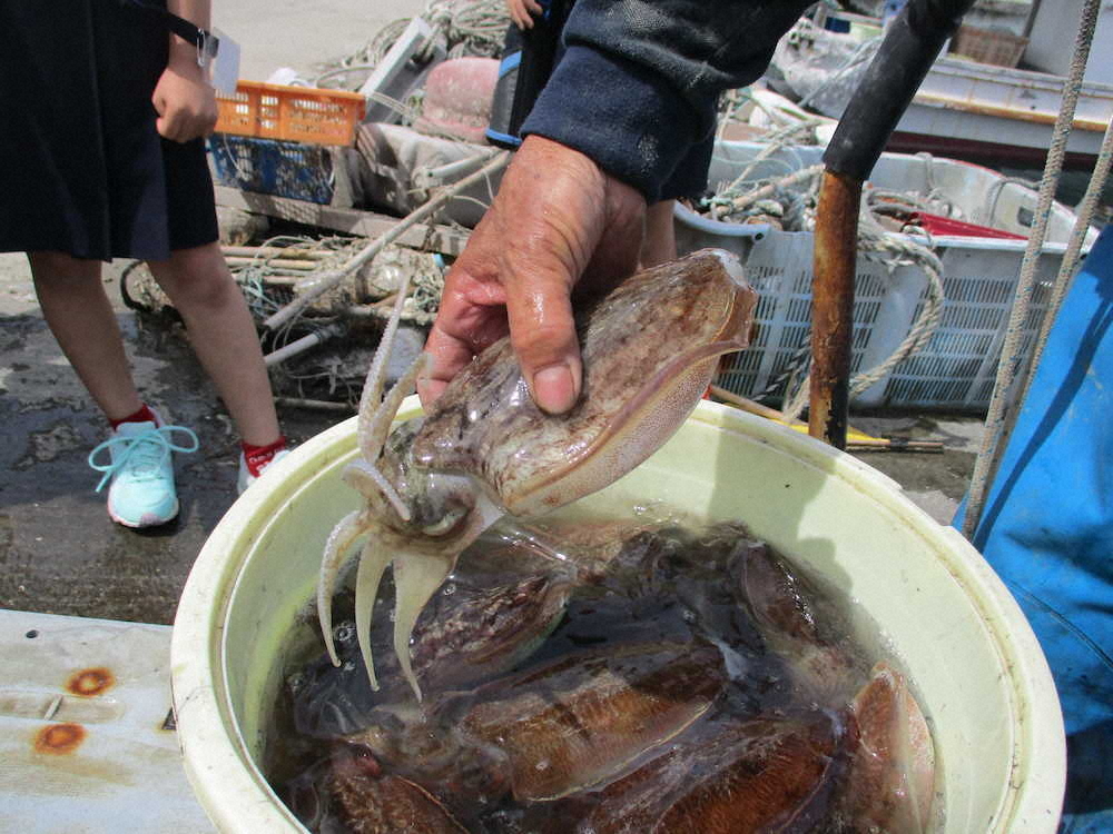 【画像・写真】【第６５回】地図記号を覚えよう！