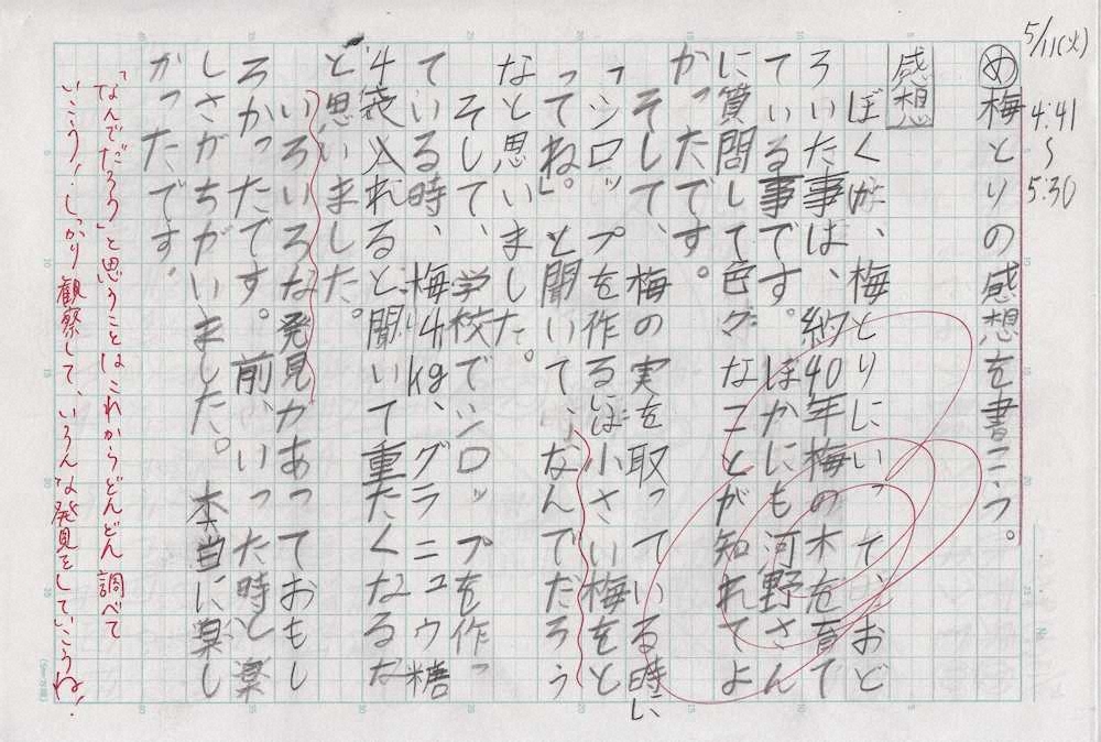 【画像・写真】【第６９回】梅は夢であり、楽しみ