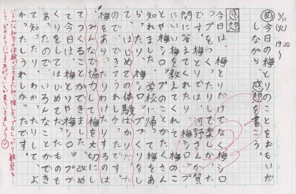 【画像・写真】【第６９回】梅は夢であり、楽しみ
