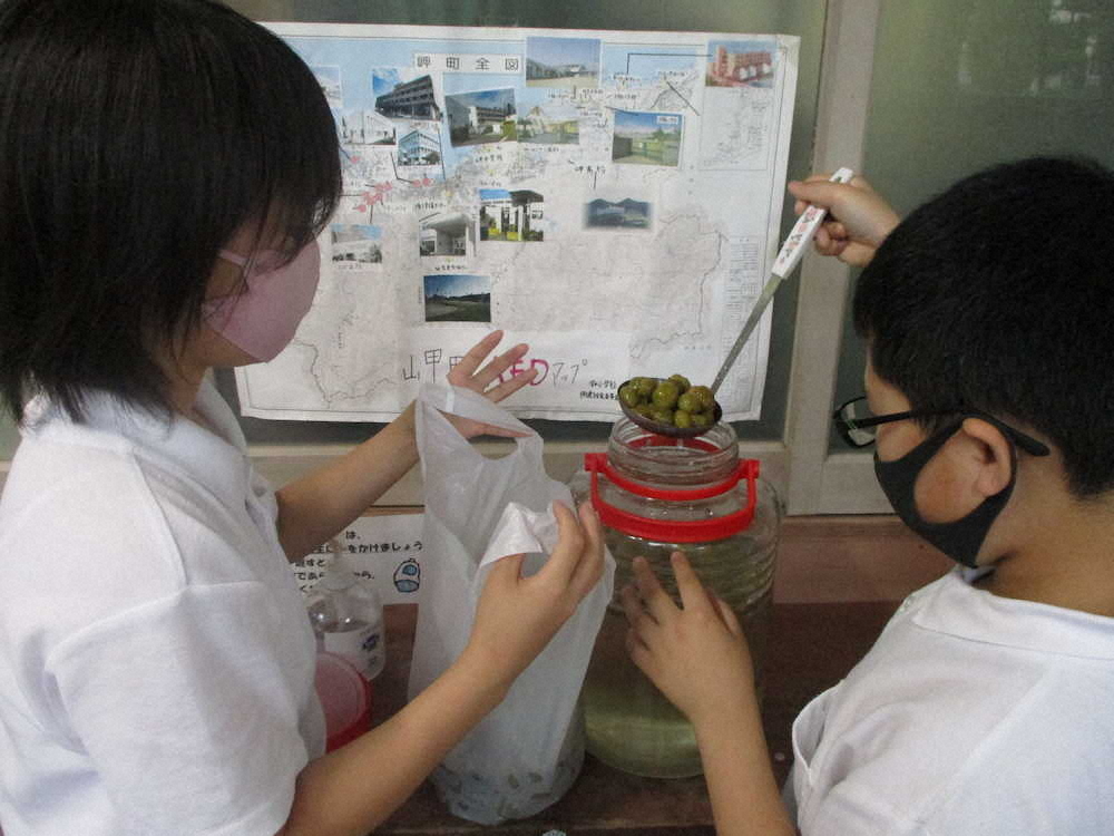 【画像・写真】【第７０回】梅ジュースでかんぱ～い！