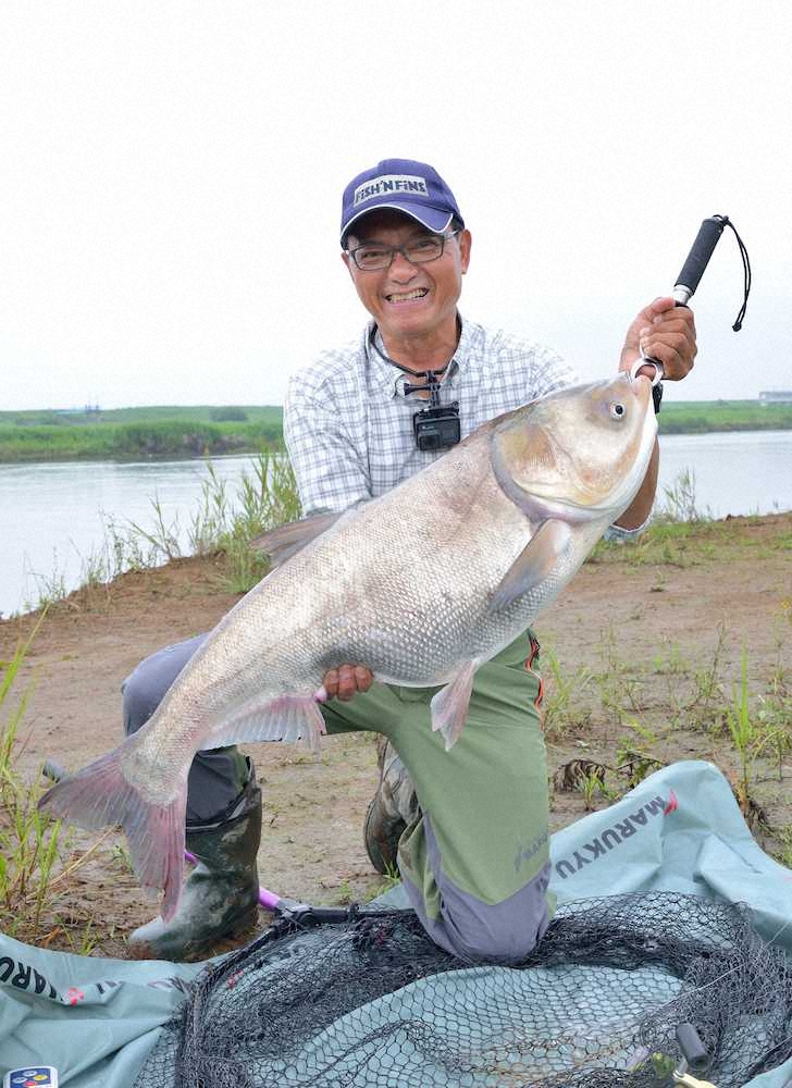 【画像・写真】13キロ　ハクレン幻の日本新　コロナ下理由に認定活動休止中…