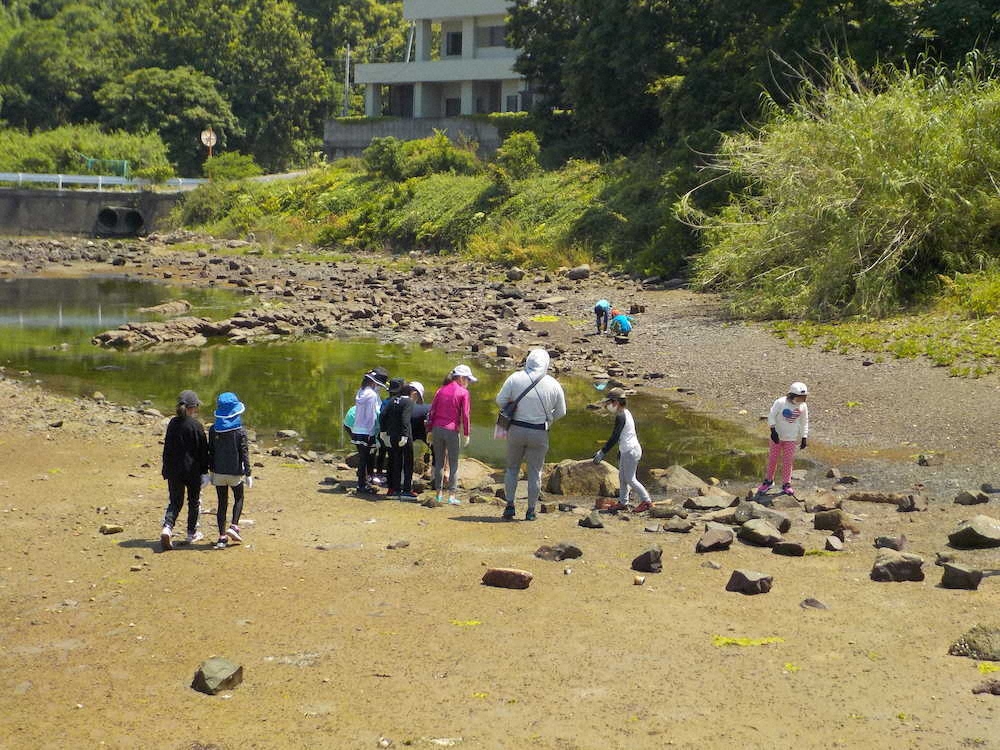 【画像・写真】【第７３回】磯遊びは宝探し大会