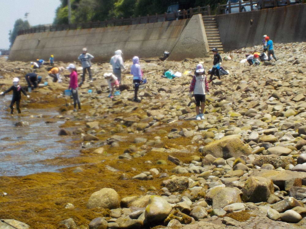 【画像・写真】【第７３回】磯遊びは宝探し大会