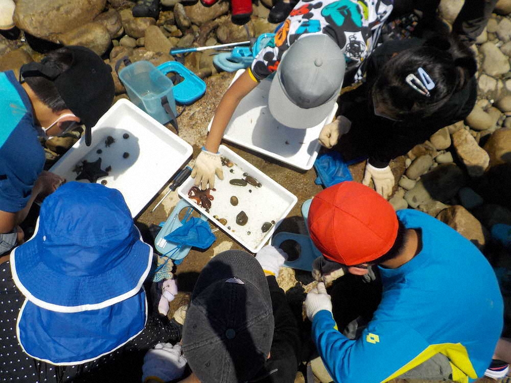 【画像・写真】【第７３回】磯遊びは宝探し大会